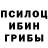 Псилоцибиновые грибы Cubensis Darksoser