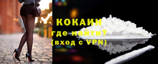 сатива Магас