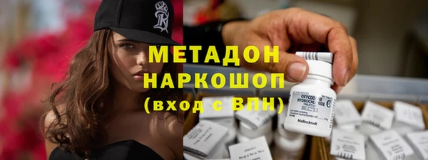 сатива Магас