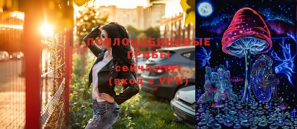 спиды Майский