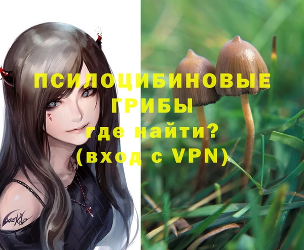 сатива Магас