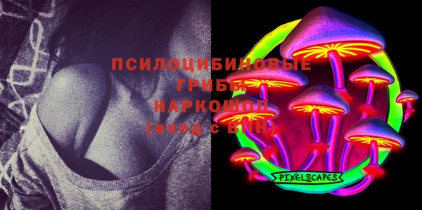 спиды Майский