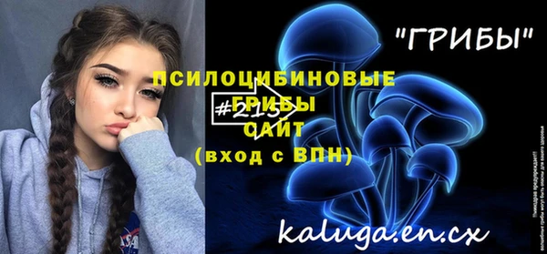 сатива Магас