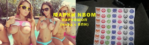 сатива Магас