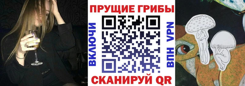 Псилоцибиновые грибы MAGIC MUSHROOMS  кракен ссылки  Данков 